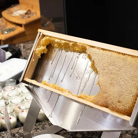 Lotus Therme & Hotel